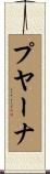 プヤーナ Scroll