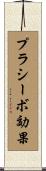 プラシーボ効果 Scroll