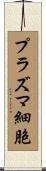 プラズマ細胞 Scroll