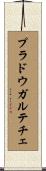 プラドウガルテチェ Scroll