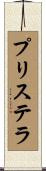 プリステラ Scroll