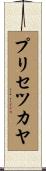プリセツカヤ Scroll