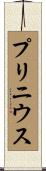 プリニウス Scroll