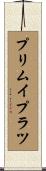 プリムイプラツ Scroll