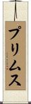 Primus Scroll