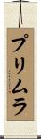 プリムラ Scroll