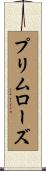 プリムローズ Scroll