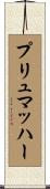 プリュマッハー Scroll