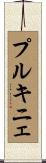 プルキニェ Scroll