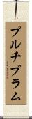 プルチブラム Scroll
