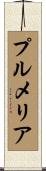 プルメリア Scroll