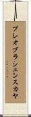 プレオブラシェンスカヤ Scroll