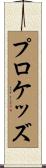プロケッズ Scroll
