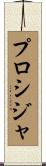 プロシジャ Scroll