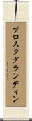 プロスタグランディン Scroll