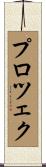プロツェク Scroll