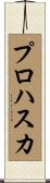 プロハスカ Scroll