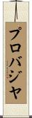 プロバジヤ Scroll