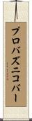 プロバズニコバー Scroll