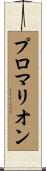 プロマリオン Scroll