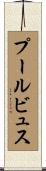 プールビュス Scroll