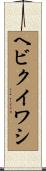 ヘビクイワシ Scroll