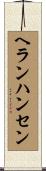 ヘランハンセン Scroll