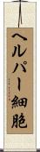 ヘルパー細胞 Scroll