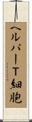 ヘルパーＴ細胞 Scroll