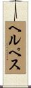 ヘルペス Scroll