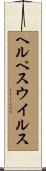 ヘルペス・ウイルス Scroll