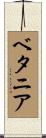 ベタニア Scroll