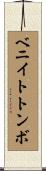 ベニイトトンボ Scroll