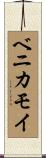 ベニカモイ Scroll