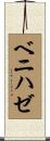 ベニハゼ Scroll