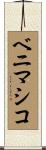 ベニマシコ Scroll