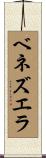 ベネズエラ Scroll