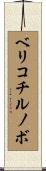 ベリコチルノボ Scroll