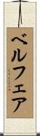 ベルフェア Scroll