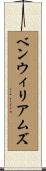 ベンウィリアムズ Scroll