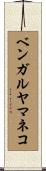ベンガルヤマネコ Scroll