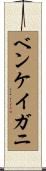 ベンケイガニ Scroll