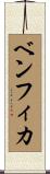 ベンフィカ Scroll