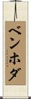 ベンホダ Scroll