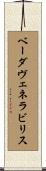 ベーダ・ヴェネラビリス Scroll