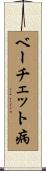 ベーチェット病 Scroll