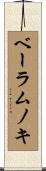 ベーラムノキ Scroll