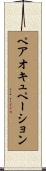 ペアオキュペーション Scroll