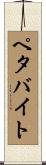 ペタバイト Scroll