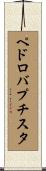 ペドロバプチスタ Scroll